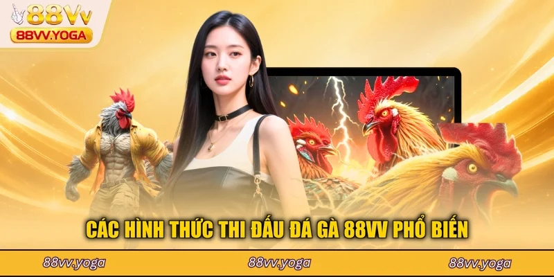 Đá Gà 88VV - Hướng Dẫn Luật Chơi Và Kinh Nghiệm Thắng 2026 - PLAYBEACON